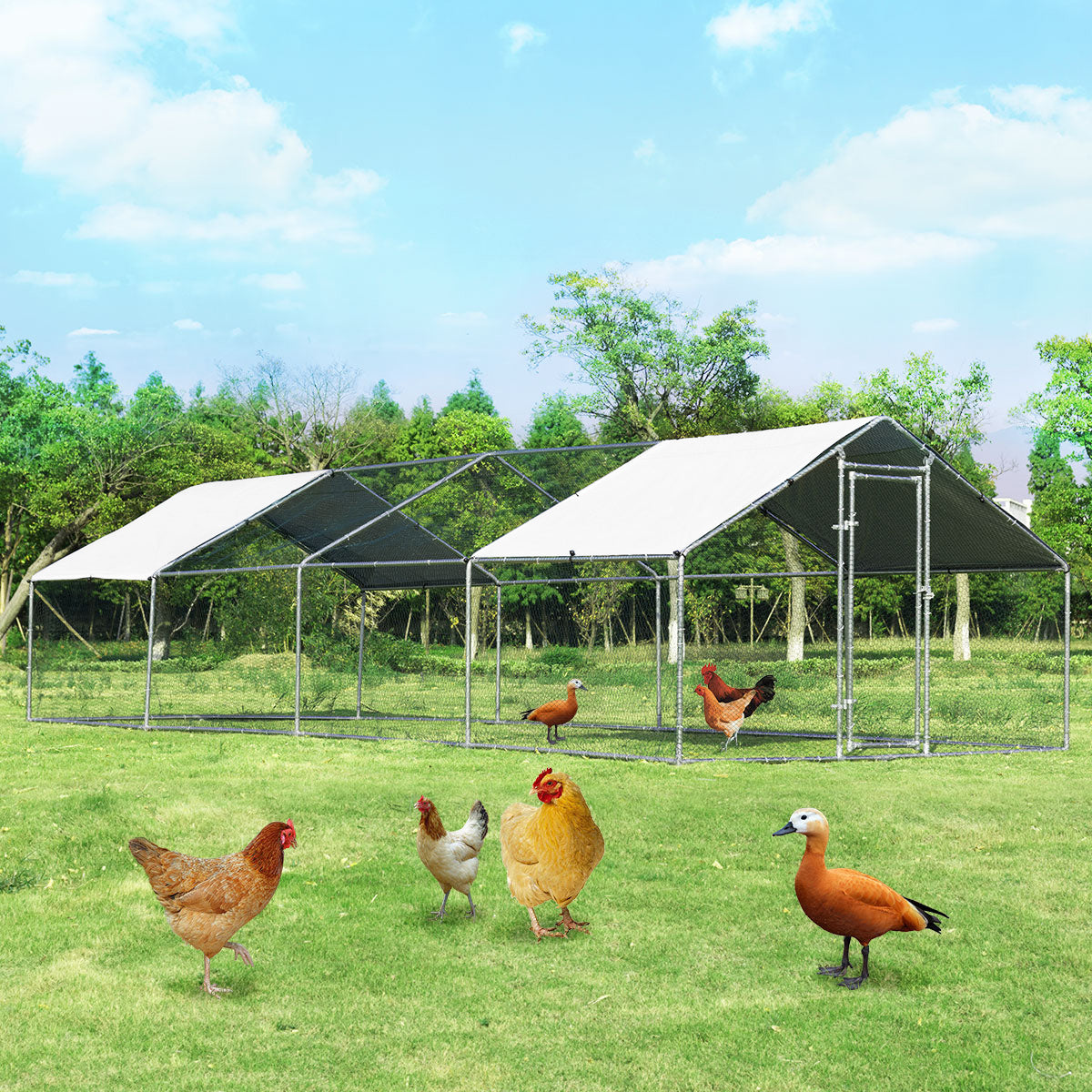 26.2 x 9.5 ft Large Walk-In Chicken Coop with Roof Cover